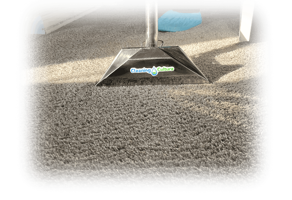 Carpet Cleaning Buford + Gwinnett