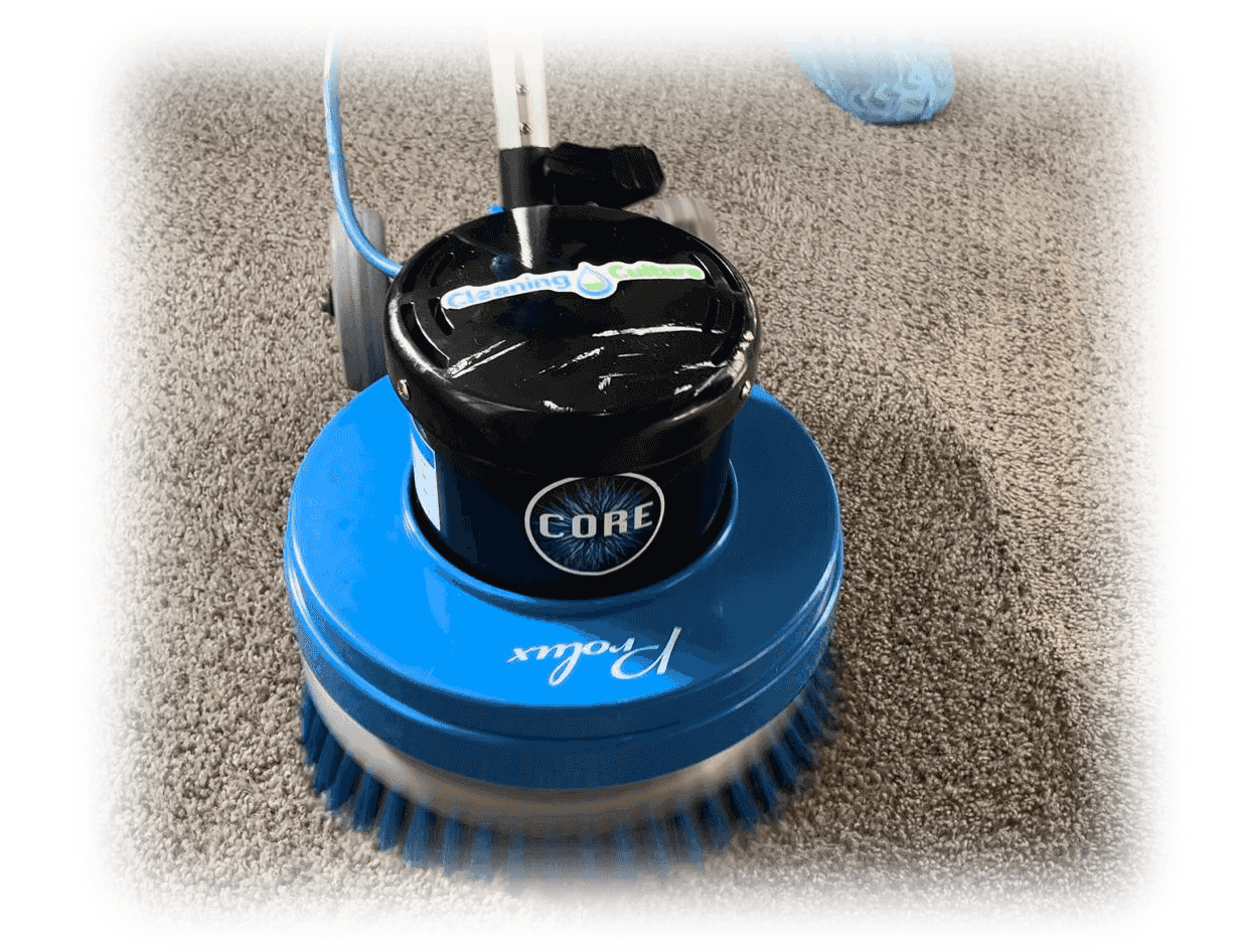 Carpet Cleaning Buford + Gwinnett