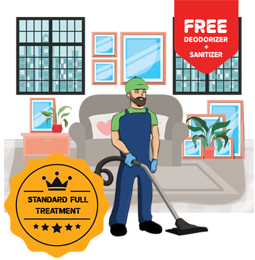 Carpet Cleaning 2 Bedroom:  Standard and Deep Cleaning